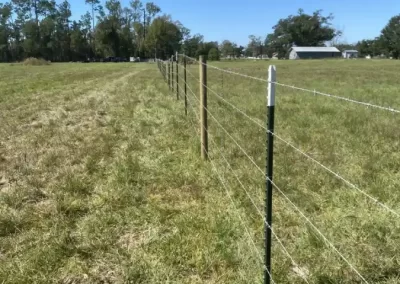 Fencing Services